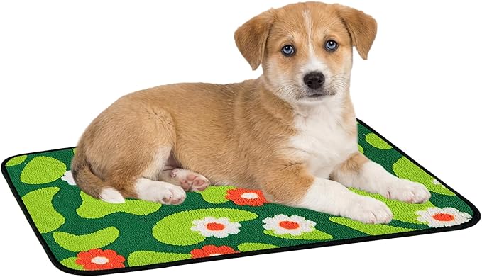 Qeils Reusable Puppy Pads for Small Dogs, Washable Pee Pads with Non-Slip , Absorbent Leakproof Mat for Crates, Playpens, Pet Beds & Whelping, Indoor Potty Training Grass Green, 23"x36", 2 Pack