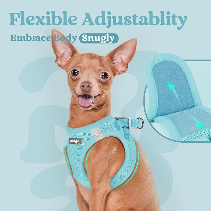rabbitgoo Small Dog Harness, Step-in Soft Mesh Puppy Vest with Safety Buckle, Breathable Reflective Pet Harness for Extra Small Dogs, Mint Blue XXS