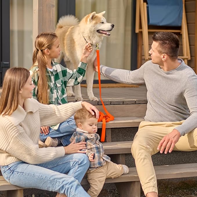 Viper Biothane K9 Working Dog Leash Waterproof Lead for Tracking Training Schutzhund Odor-Proof Long Line with Solid Brass Snap for Puppy Medium and Large Dogs 6ft, Hunter Orange