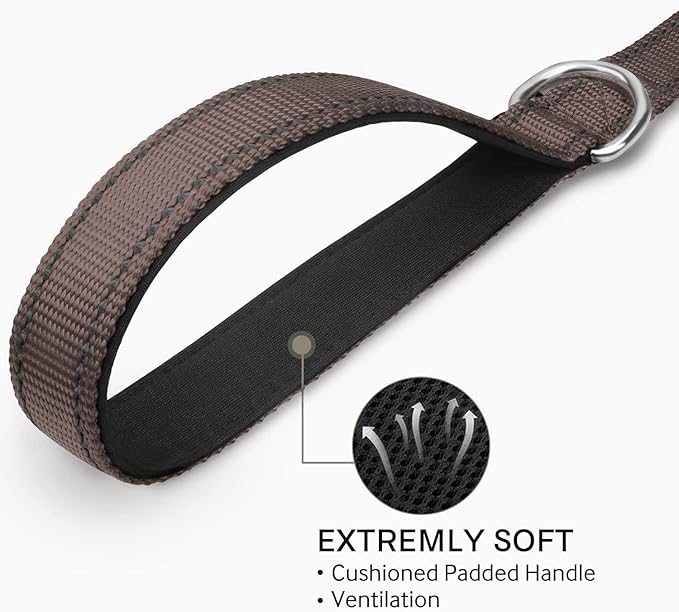 Joytale Double-Sided Reflective Dog Leash, 6 FT/5 FT/4 FT, Padded Handle Nylon Heavy Duty Leashes for Medium & Large Dogs Walking, Brown, 6FT