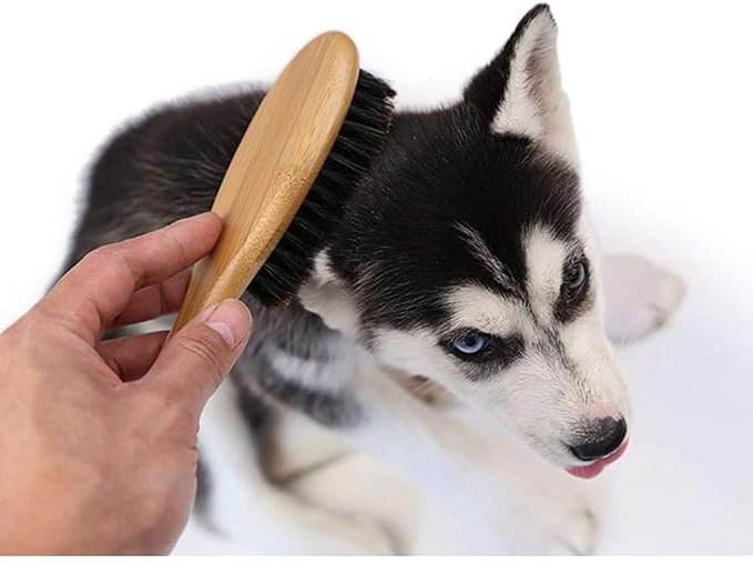 Patina Dog Cat Brush for Shedding, Natural Bamboo Boar Bristles Brush, Pet Grooming Supplies for Short and Long Haired Dogs Cats, Gentle Easy Grooming Massage, Japanese design