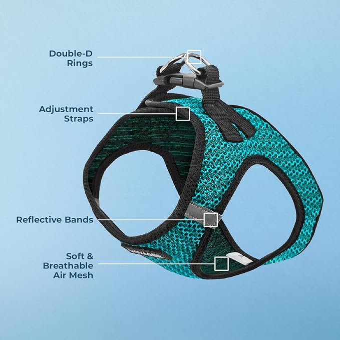Best Pet Supplies Voyager Step-in Air Harness - All Weather Mesh, Reflective, No Pull Harness for Dogs, Cats - Secure with Hook & Loop Fastener, Buckle, Double D-Rings - Turqupise 2-Tone, L