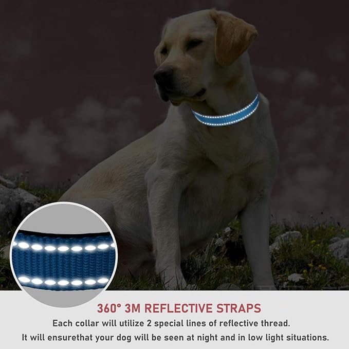 Reflective Dog Collar with Buckle Adjustable Safety Nylon Collars for Small Medium Large Dogs, Sky Blue XS
