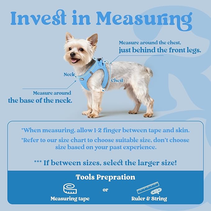 rabbitgoo Small Dog Harness, Step-in Soft Mesh Puppy Vest with Safety Buckle, Breathable Reflective Pet Harness for Small Sized Dogs, Blue XS