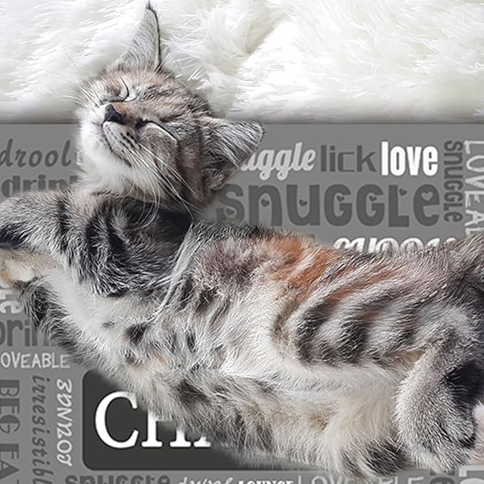 Personalized Pet Feeding Mat Custom Name Dog Food Mat Customized Cat Water Placemats, Waterproof & Non-Slip Design for Dogs Cats, Style 3