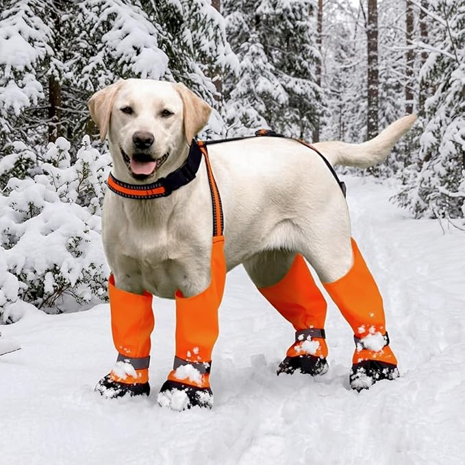 Dog Suspender Boots, Anti-Slip & Fall Waterproof Dog Shoes Leggings, Dog Paw Protector for Small Medium Dogs, Adjustable Dog Boots Pet Shoes for Outdoor Walking Orange,S