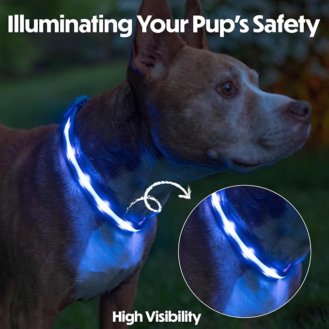 Light Up Dog Collar – Reflective, Adjustable & Rechargeable Electronic Glow Pet Collars – Bright, Comfortable, High Visibility LED Dog Collar for Night Safety, Outdoor Walk & Flashing Fun, Blue, Large