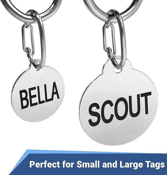 GoTags Pet ID Dog Tag Clip, Strong Durable Dog and Cat Tag Connector, Quick Clip to Pet Collars, Easy Upgrade for Split Ring, Mini Carabiner Made of Stainless Steel, Pack of 1