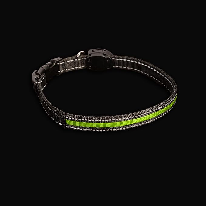 Sherry Kline LED Light-Up Pet Collar - USB Rechargeable - Flashing Glow in The Dark Size Small, Color: Green