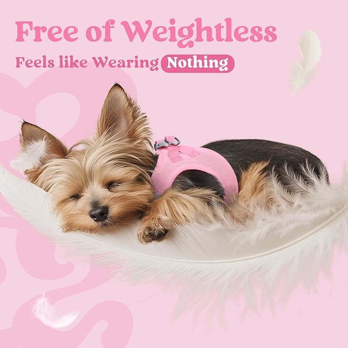 rabbitgoo Small Dog Harness, Step-in Soft Mesh Puppy Vest with Safety Buckle, Breathable Reflective Pet Harness for Extra Small Dogs, Light Pink XXXS
