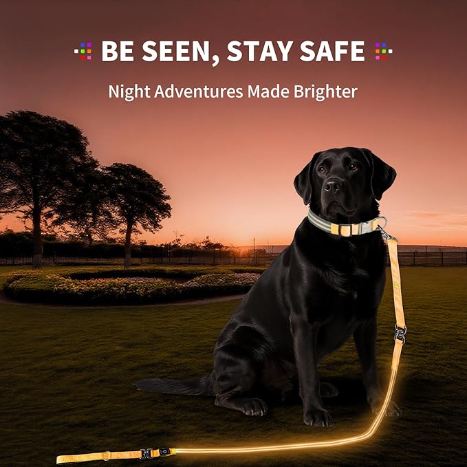PetIsay Night Walking LED Dog Leash - 6FT Reflective & Waterproof Light Up Safety Leashes for Dogs - USB Rechargeable, Orange