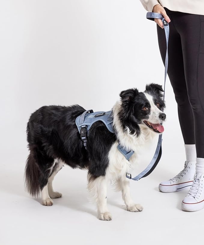 2025 New Edition, Fei & Eve MagEase Dog Harness - 3-Second Magnetic Buckles | 3-Point No-Pull Control | Heavy-Duty 900D Nylon | Dual Safety Handles | Breathable Mesh | Adjustable Fit | X-Large, Blue