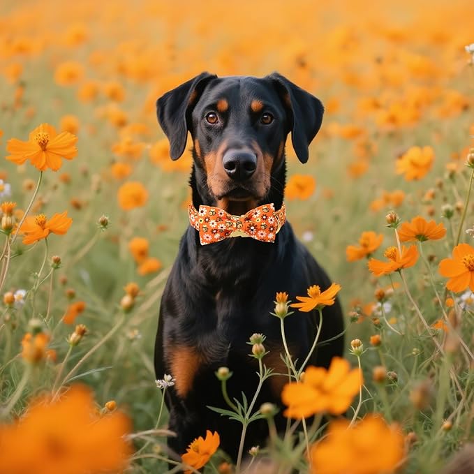 Unique style paws Cotton Dog Collar with Bow Autumn Puppy Collar with Bee Daisy for Small Medium Large Boys Girls Dogs