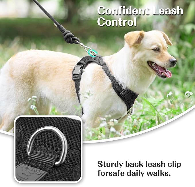 No Pull Dog Harness for Small Medium Large Dogs - Adjustable 2 Layer Mesh Dog Vest with Dual Clip, Escape Proof, Quick Release, Lightweight Breathable Mesh for Walking Hiking (Black,S)