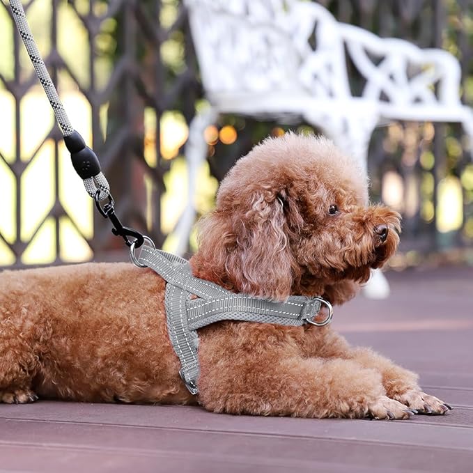 Plutus Pet No Pull Dog Harness with Breathable Mesh Padded, Adjustable Reflective Escape Proof Dog Harness, Quick Fit Dog Vest Harness for Small Medium Large Dogs(XS, Gray)