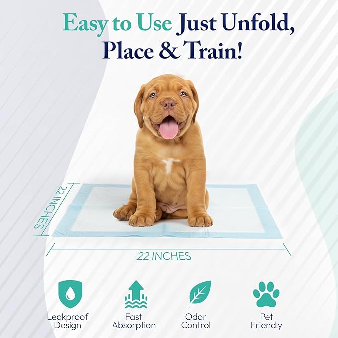 BPG Puppy Pads 100 Count – Super Absorbent Training Pads for Dogs and Puppies, Leak-Proof Protection, Odor-Neutralizing Disposable Dog Pee Pads Essentials, 22"x22"- BROOKLYN PET GEAR