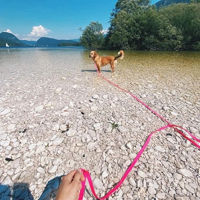 Waterproof Dog Training Leash 50FT 30FT 15FT 10FT 5FT Heavy Duty Recall Long Lead for Large Medium Small Dogs (30FT, Pink)