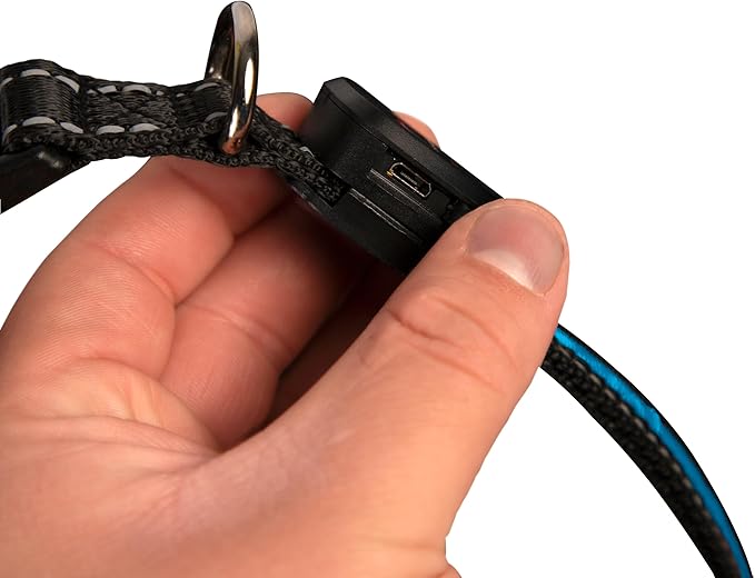 Sherry Kline LED Light-Up Pet Collar - USB Rechargeable - Flashing Glow in The Dark Size Large, Color: Blue