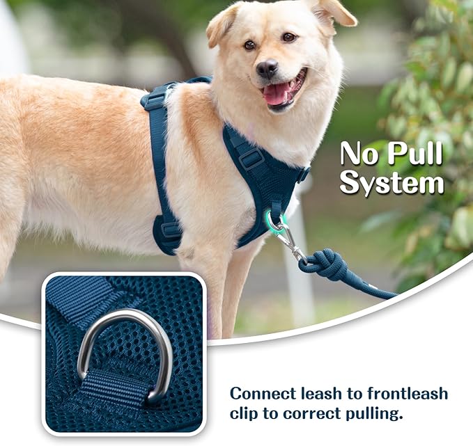 No Pull Dog Harness for Small Medium Large Dogs - Adjustable 2 Layer Mesh Dog Vest with Dual Clip, Escape Proof, Quick Release, Lightweight Breathable Mesh for Walking Hiking (Prussian Blue,XS)