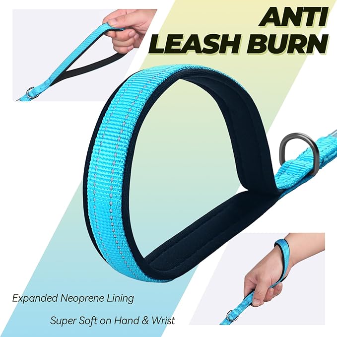 VIVAGLORY Twingrip Dog Leash, Double Handle Dog Leash for Training & Walking with Traffic Handle & 2 Loop, Traffic Control Reflective Heavy Duty for Puppy Pet, 4ft x 1/2in, Lake Blue