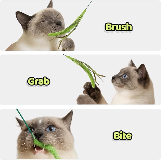 Kokobae Cat Wand Toy – Natural Grass-Inspired Cat Teaser Stick, Durable Design for Indoor Cats, Interactive Play for Exercise, Hunting, and Bonding