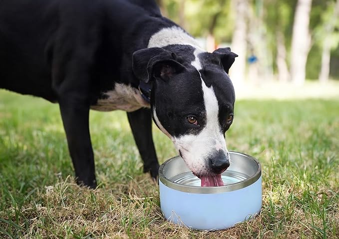ALPINE Set of 2 Stainless Steel Dog Bowls, Non Slip, Metal Pet Bowl for Food and Water, Double Walled Insulated, Rustproof, Dishwasher Safe (64 oz, Pink)