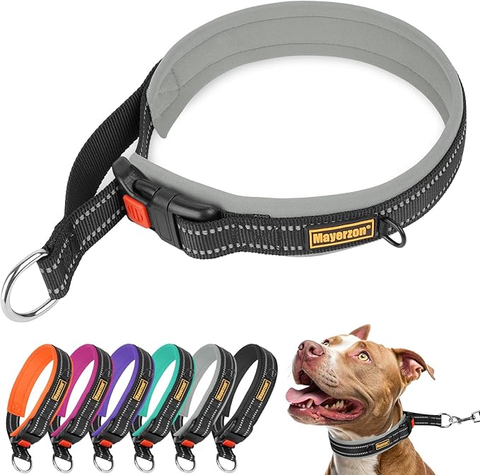 Mayerzon 1.5" Wide Martingale Collar for Large Medium Small Dogs Pitbull German Shepherd, No Pull Reflective Slip & Martingale Dog Collar with Buckle Soft Padded for Walking Training(Seattle Haze, M)
