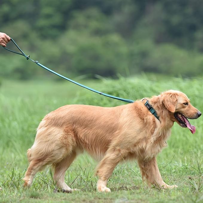 Hyhug Nylon Adjustable 4-6ft Dog Leash with Soft Neoprene Padded Handle, Durable Heavy Duty Leash with Easy-to-Use Bolt Snap, Ideal for Jogging Outdoor