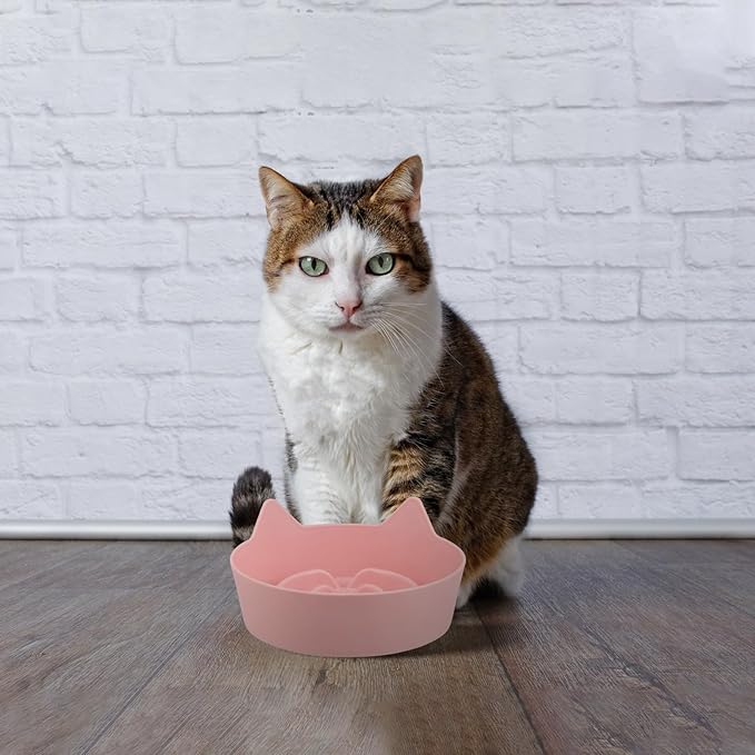 COHEALI Cat Slow Feeder Bowl Non-Slip Plastic Small Shallow Feeding Dish Candy Color Pink for Indoor Cats Kitten Feeding Plate Pet Food Tray