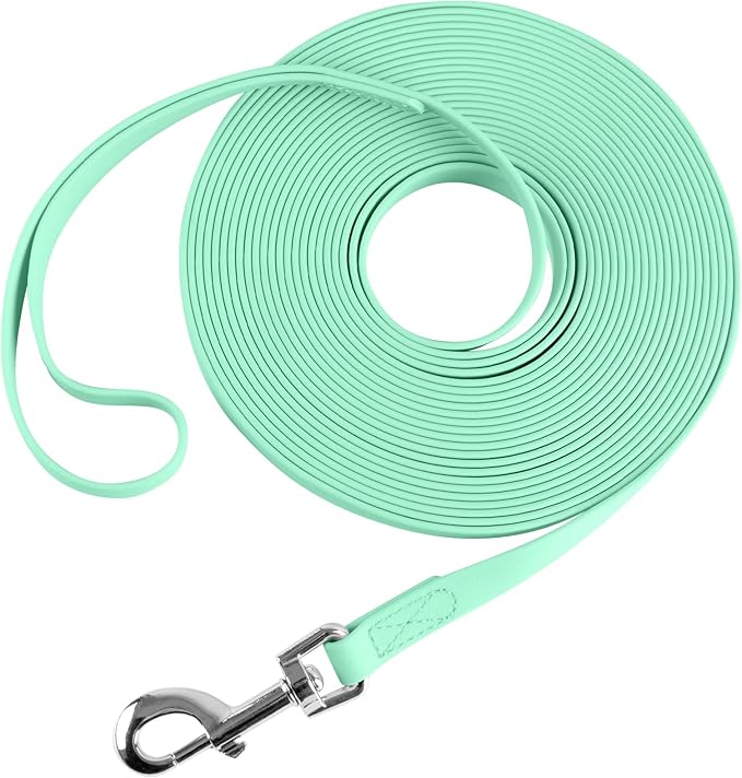 Waterproof Long Leash Durable Dog Recall Training Lead Great for Outdoor Hiking, Training, Yard, Beach and Swimming (Light Green, 30ft)