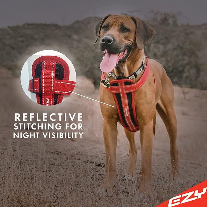 EzyDog Chest Plate No Pull Dog Harness – Escape Proof Harness with Reflective Stitching and Comfort Padding for Easy Walks, Training & Control - Car Restraint Included (Small, Green Camo)