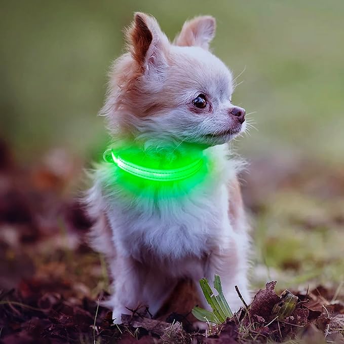 DOMIGLOW Light Up Collar for Small Dogs Cats - Reflective LED Dog Collar Glow in The Dark, Safety Pet Collar Lights for Nighttime Walking (Green)