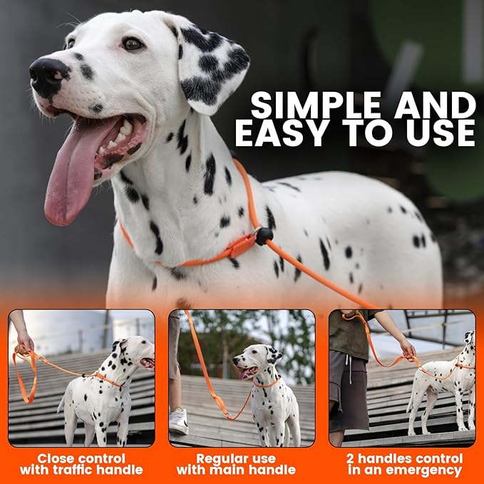 Howgo Dog Slip Lead Dog Leash, Training Lead, No-Pull Slip Leash and Collar, Heavy Duty & Durable Nylon, Padded Handle, for All Breeds (Orange, 5FT)