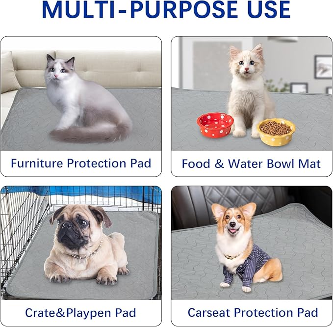 Gentle Purr Washable Dog Pee Pads 24 x 36, 2-Pack Reusable Puppy Pads, 4-Layer Ultra Absorbent Potty Training Pads for Dogs, Non-Slip Leakproof Dog Mats for Indoor Use
