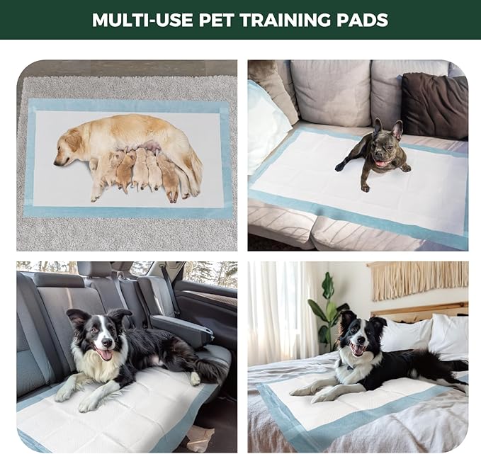 FXW XXL Puppy Pee Pads for Dogs 51x29 inch 50 Count, 5 Layer Super Absorbent & Leak Proof-Thickened Disposable Potty Training Pad, Fits 24" H 6/8 Panel FXW Playpen-Blue (Playpen not Included)