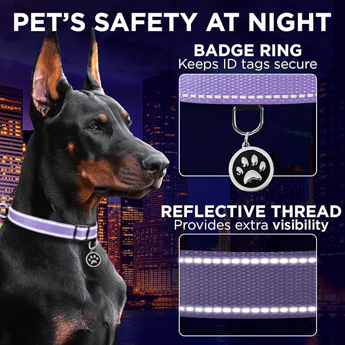 TECEUM Reflective Dog Collar – Lavender – S – Extra Soft Padding – Basic Nylon Pet Collar – Quick Release Buckle – Fits Small, Medium and Large Dogs, Puppies, Cats – ESA & Service Dog Options