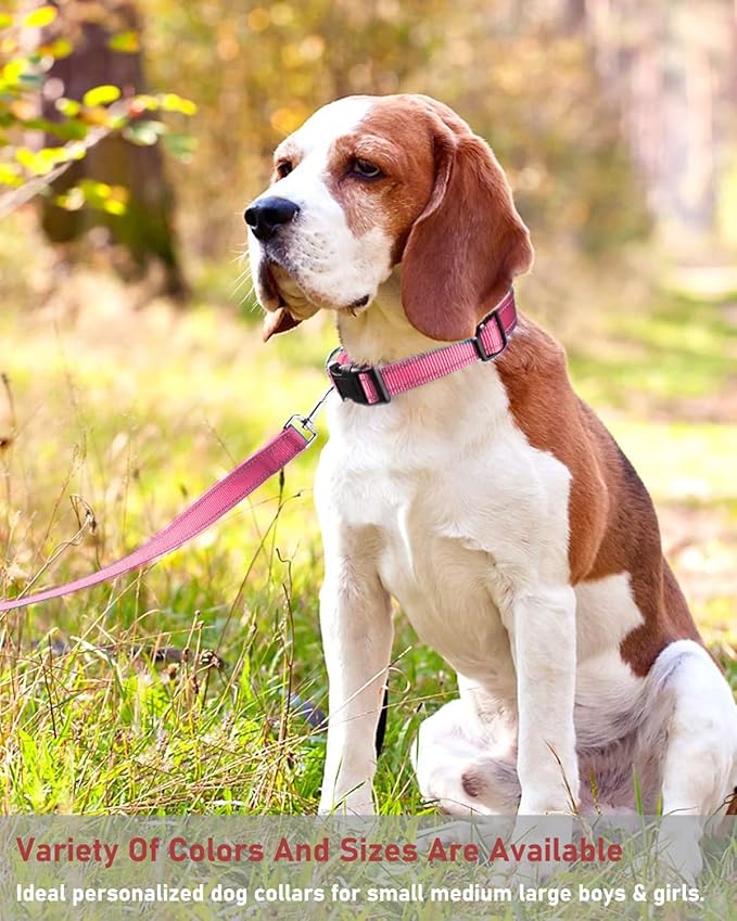 Reflective Dog Collar with Buckle Adjustable Safety Nylon Collars for Small Medium Large Dogs, Light Pink L