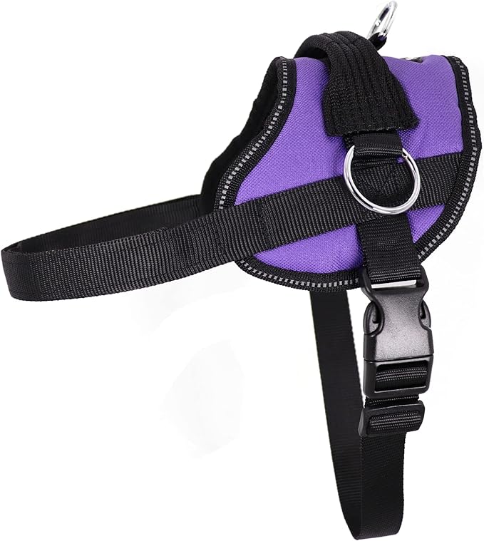Bark Appeal Purple No-Pull Dog Harness for Extra Large Sized Pets – Adjustable, Reflective Vest with 3 Leash Clips for Added Control, Easy Walks & Training – XXL