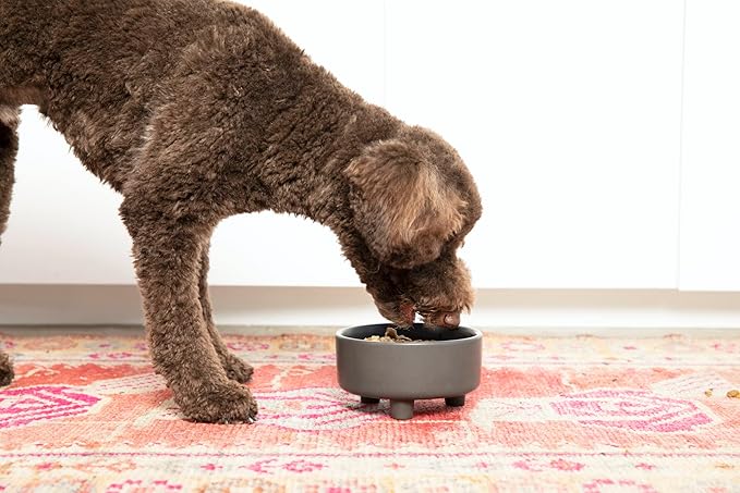 Waggo Uplift Ceramic Dog Bowl for Small Medium and Large Breeds - Heavyweight and Durable Pet Food and Water Dish Crock, Dishwasher Safe, Modern, Elevated Feeder (Black, Large)