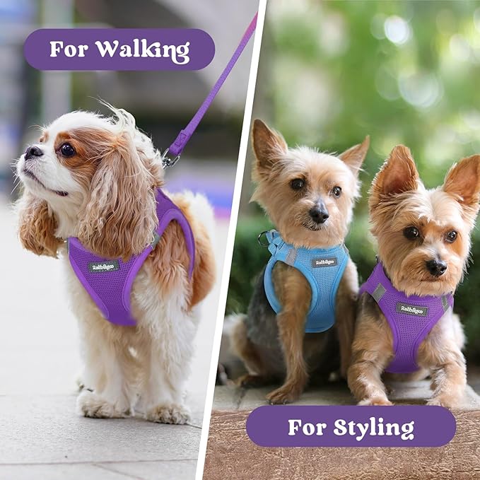 rabbitgoo Small Dog Harness, Step-in Soft Mesh Puppy Vest with Safety Buckle, Breathable Reflective Pet Harness for Small Sized Dogs, Purple XS