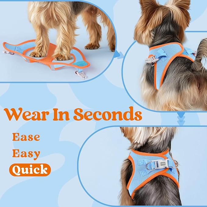 rabbitgoo Small Dog Harness, Step-in Soft Mesh Puppy Vest with Safety Buckle, Breathable Reflective Pet Harness for Small Sized Dogs, Blue & Orange M