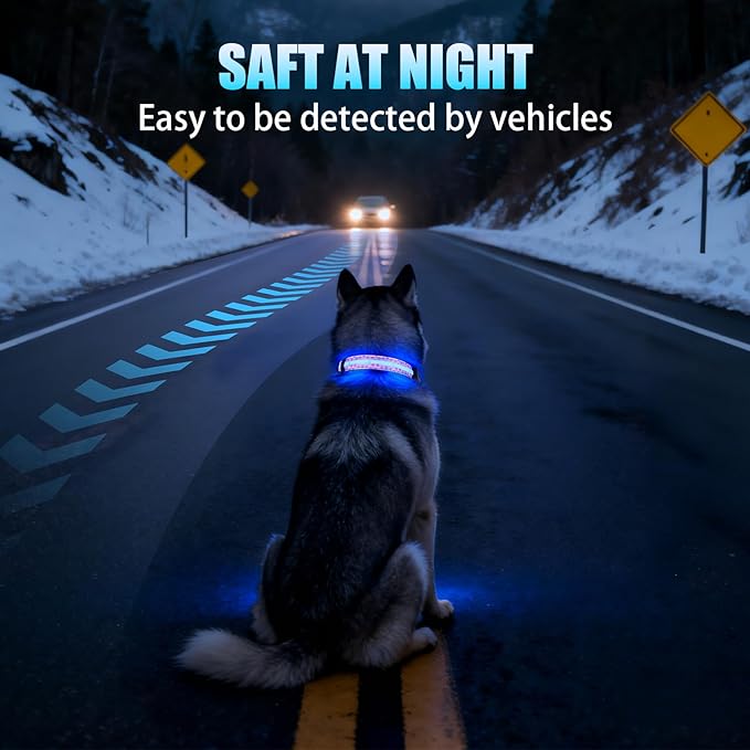 LED Dog Collar - Brightest Light Up Dog Collars - 1,600 Feet of High Visibility - Magnetic Charging - Dog Lights for Night Walking, Heart Extra Large
