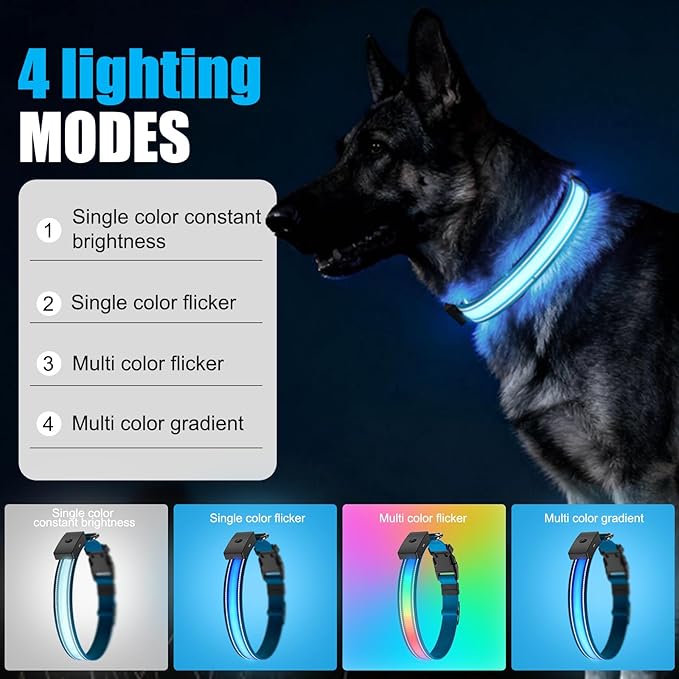 LED Dog Collar Rechargeable- Brightest Light Up Dog Collars - 1,600 Feet of High Visibility - Magnetic Charging - Glow in Dark Dog Lights for Night Walking, Blue XL