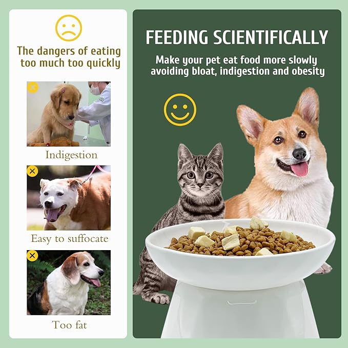BNOSDM Raised Cat Slow Feeder Bowl Elevated Shallow Cat Dish Whisker Fatigue Slow Eating Bowls Cute Wet Food Puzzle Bowls for Indoor Small Cats Kitten