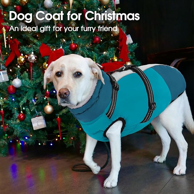 SUNFURA Dog Coat for Small Dogs, Warm Dog Winter Jacket with Harness Built in, Waterproof Pet Snow Jacket Fleece Cold Weather Coats for Puppy Chihuahua, Maltese, Turquoise XS