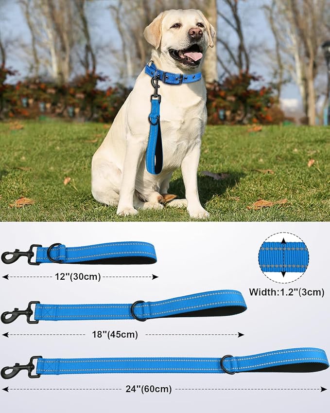 Joytale Strong Short Dog Leash 2FT, 1.2 Inch Wide, Heavy Duty, Padded Handle for Traffic Control, Reflective Leash for Medium and Large Dogs Walking Training, Aqua Blue