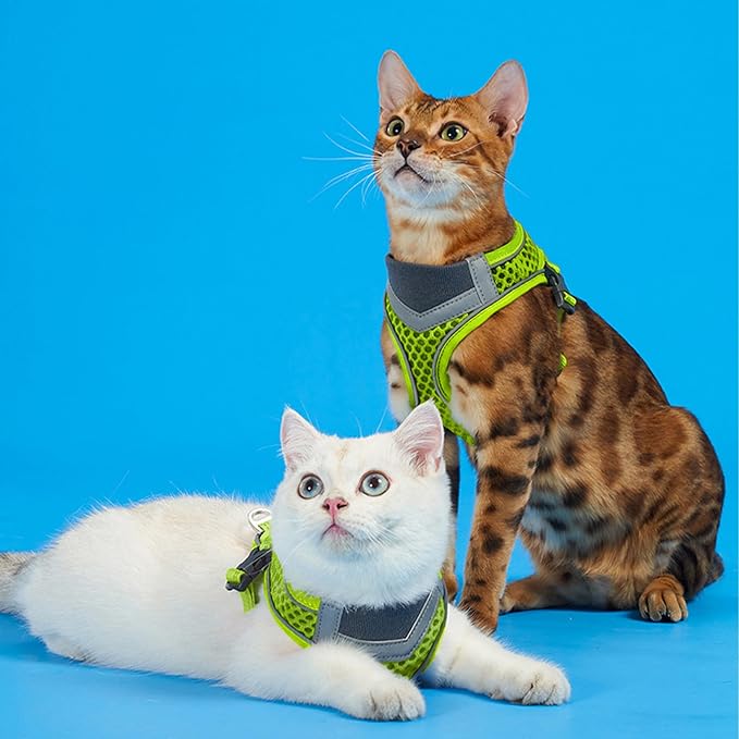 Cat Harness and Leash Set for Comfortable Outdoor Walking, Escape Proof, Adjustable Soft Kitten Vest Harness with Reflective Strip for Cats, Small Dogs (Green, M)