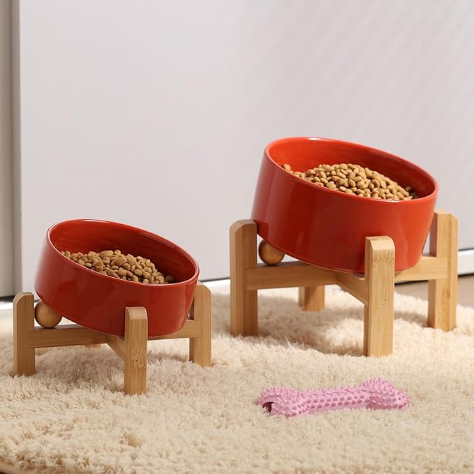 Petygooing Elevated/Raised 15°Slanted Ceramic Dog Bowl for Small and Medium Breeds, Tilted Anti Slip Pet Feeding Bowl,Food Water Dish with Stand for Cats and Dogs (28 OZ/3.6 Cups) Rust Red