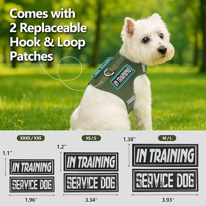 Dog Harness for Puppy – Adjustable Reflective Easy Put On Soft Mesh Vest for Small Dogs with 2 Patches (Misty Green,XS)