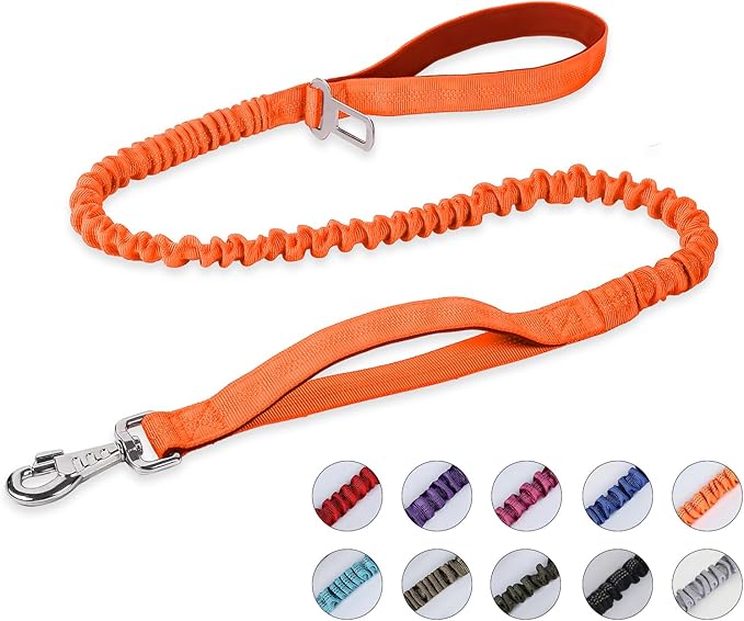 BUMBIN 6Ft Dog Leash - Large Dogs, Bungee Leash with 2 Handles, Heavy Duty, No Pull Shock Absorbing, Orange